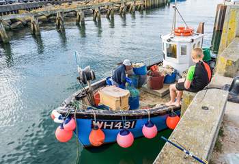 Visit the boats at West Bay harbour - the perfect place for crabbing !