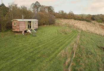 Your beloved pooch will love roaming the outside space.