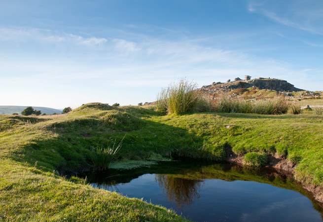 Admire the dramatic open landscapes of Bodmin Moor.