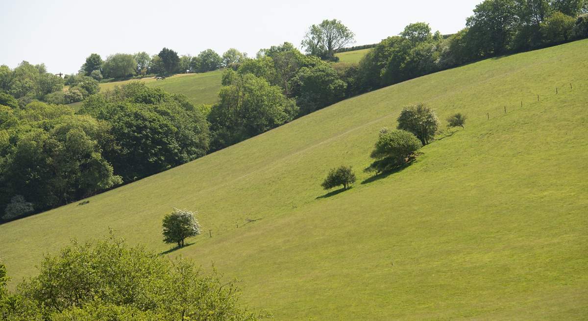 Nestled in a pretty valley.