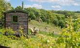 Peaceful woodland and rolling countryside hills encompass this heavenly haven. - Thumbnail Image