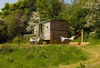 Welcome to The Hillside Hut, the lovely hammock provides a peaceful spot for an afternoon snooze!