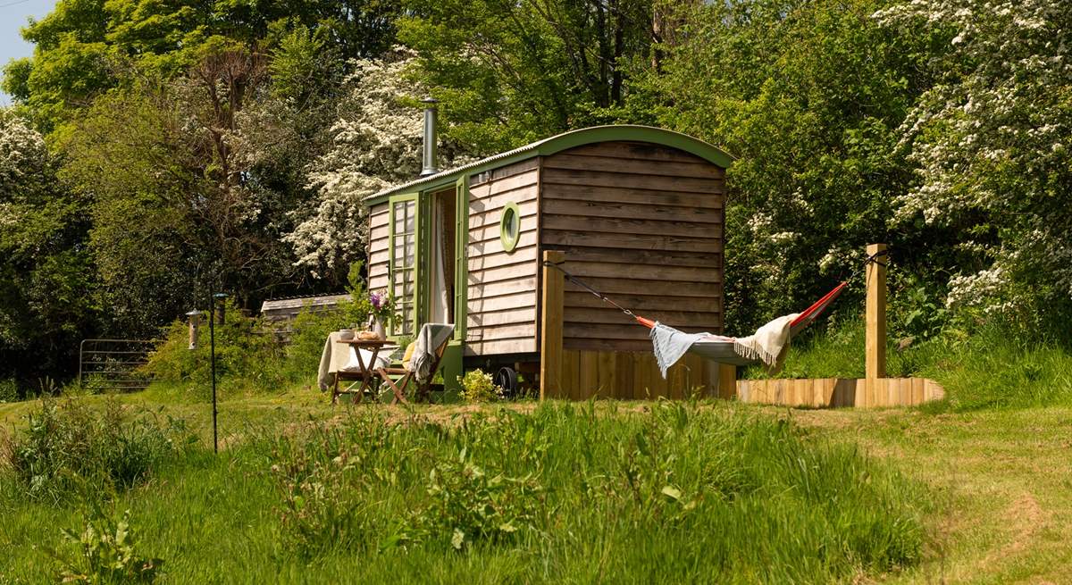 Welcome to The Hillside Hut, the lovely hammock provides a peaceful spot for an afternoon snooze!