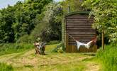  The Hillside Hut is idyllic for some much needed down time. - Thumbnail Image