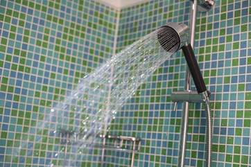 There's also a separate shower.