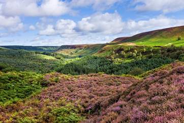 Explore the magic of the North York Moors.