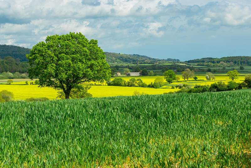 The gorgeous countryside surrounding Thirsk.