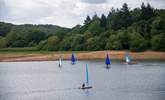 Ardingly Reservoir (Ardingly Activity Centre) is great for water sports. - Thumbnail Image