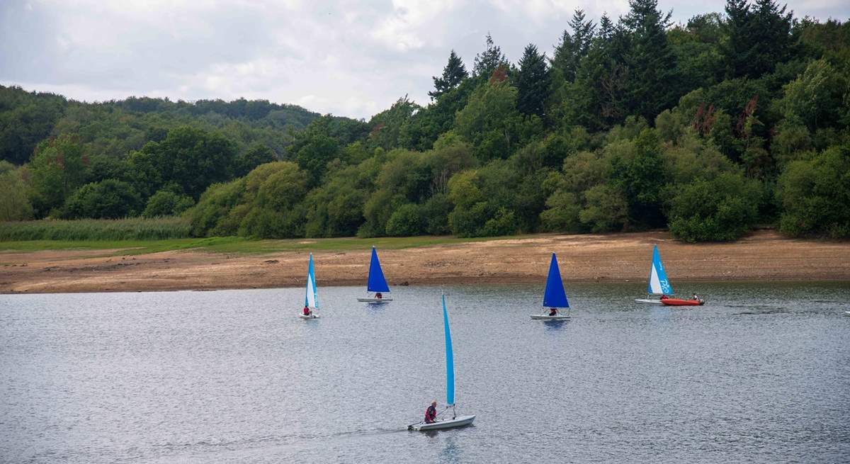 Ardingly Reservoir (Ardingly Activity Centre) is great for water sports.