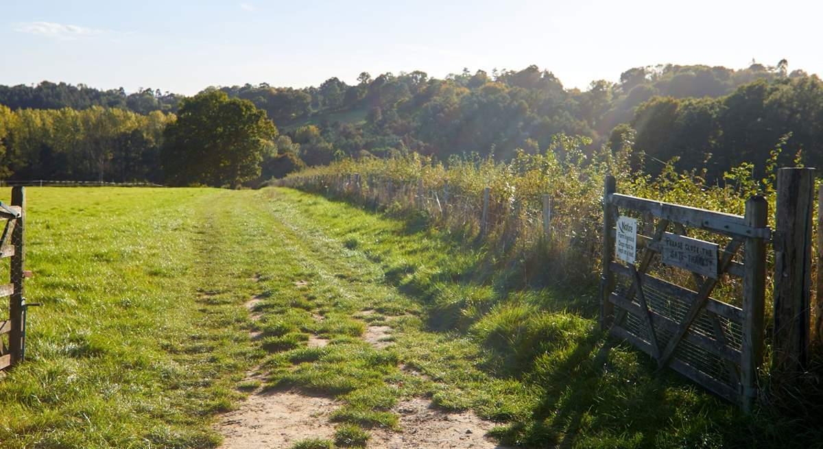 Direct access from the doorstep to some lovely walks around the farm including the High Weald Landscape Trail.