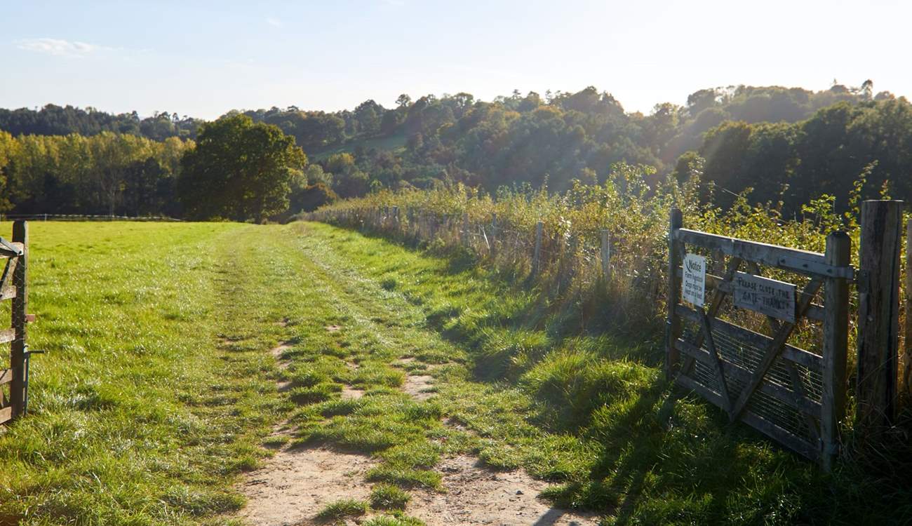 Direct access from the doorstep to some lovely walks around the farm including the High Weald Landscape Trail.