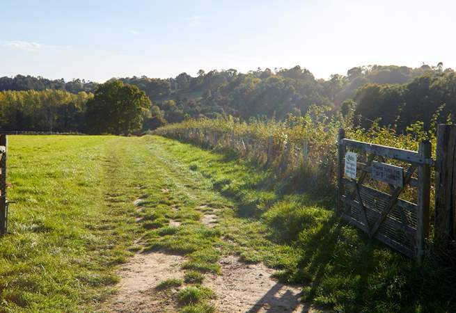 Direct access from the doorstep to some lovely walks around the farm including the High Weald Landscape Trail.