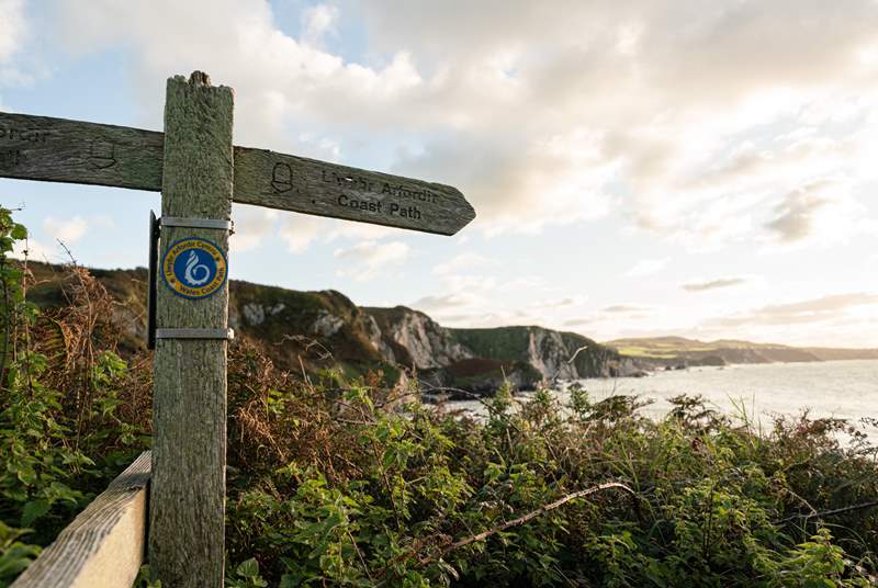 Walkers should head for the coast path for stunning views and beautiful beaches.