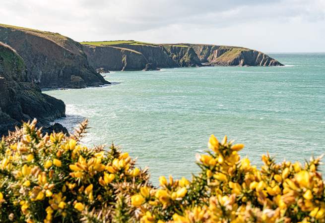 Pembrokeshire has stunning views and the most dramatic coastline.