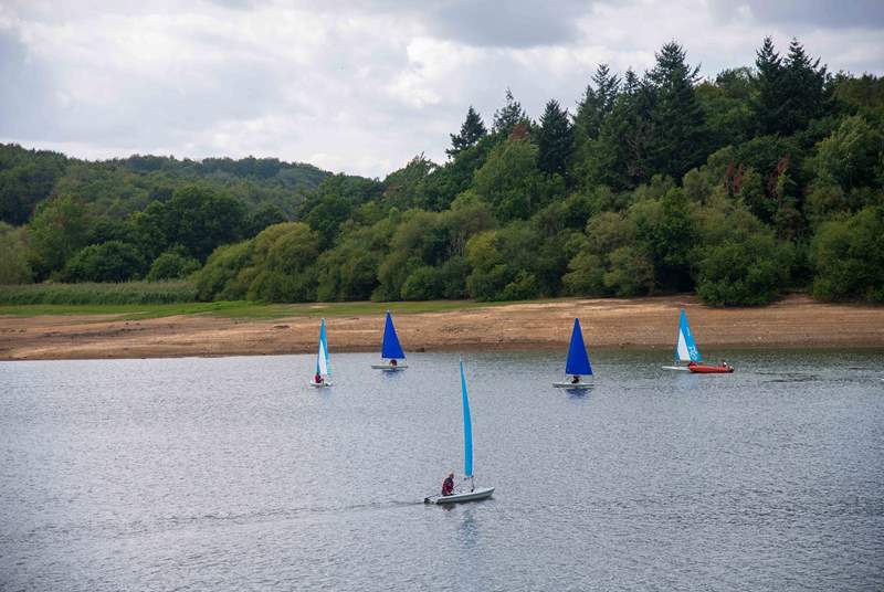 Ardingly Reservoir (Ardingly Activity Centre) is great for water sports.