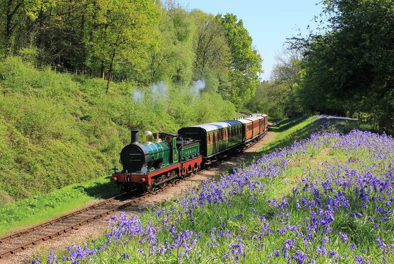 Take a ride on the Bluebell Railway.