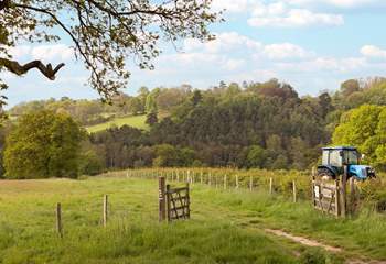 In an Area of Outstanding Natural Beauty (High Weald) the area is a paradise for walkers.