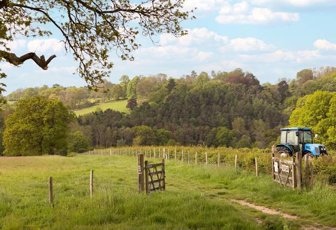 In an Area of Outstanding Natural Beauty (High Weald) the area is a paradise for walkers.