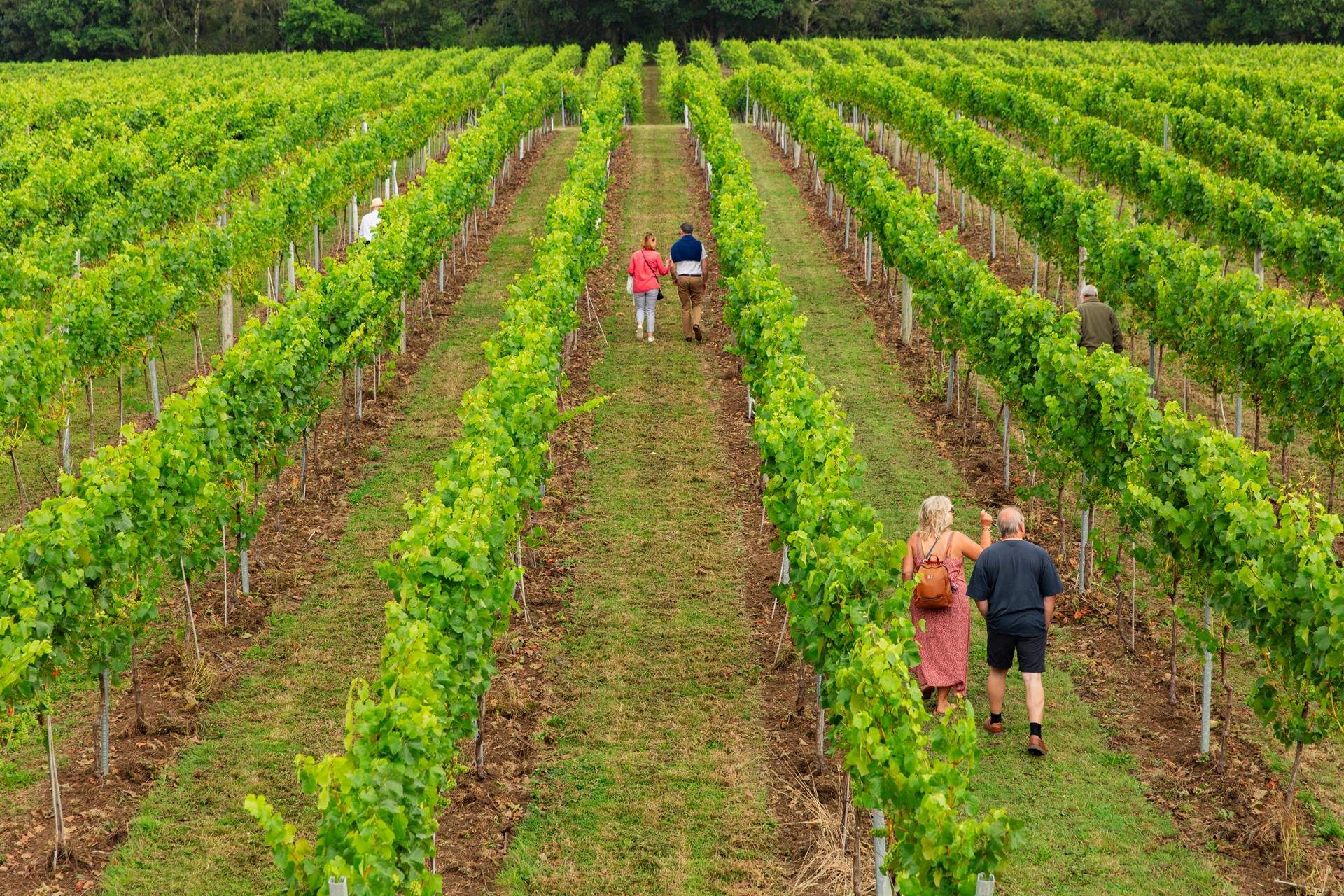 You could always try some wine tasting at Bolney Wine Estate.