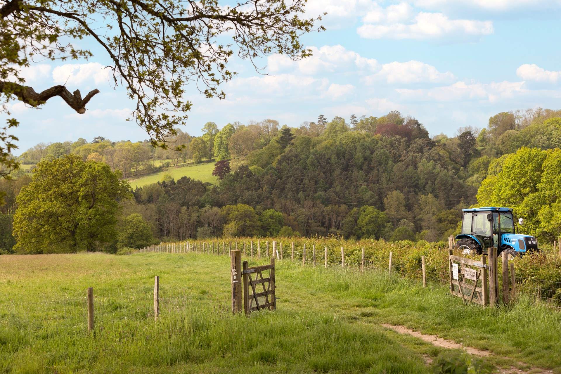 Direct access from the doorstep to some lovely walks around the farm including the High Weald Landscape Trail.