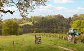 Direct access from the doorstep to some lovely walks around the farm including the High Weald Landscape Trail. - Thumbnail Image