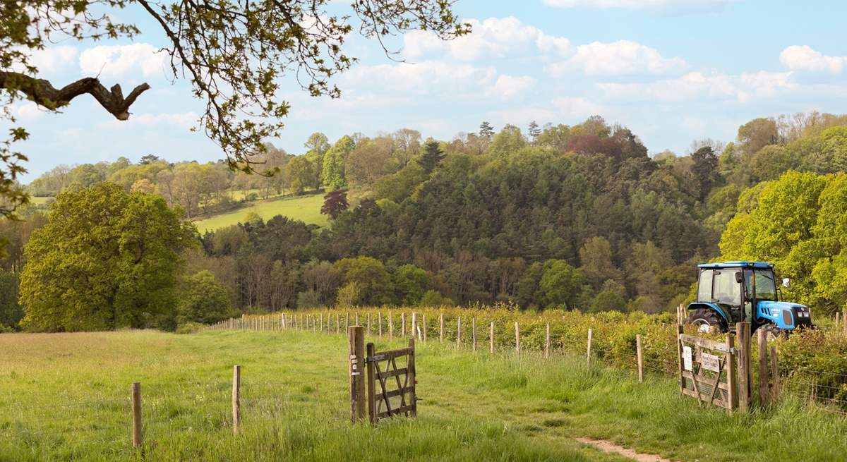 Direct access from the doorstep to some lovely walks around the farm including the High Weald Landscape Trail.