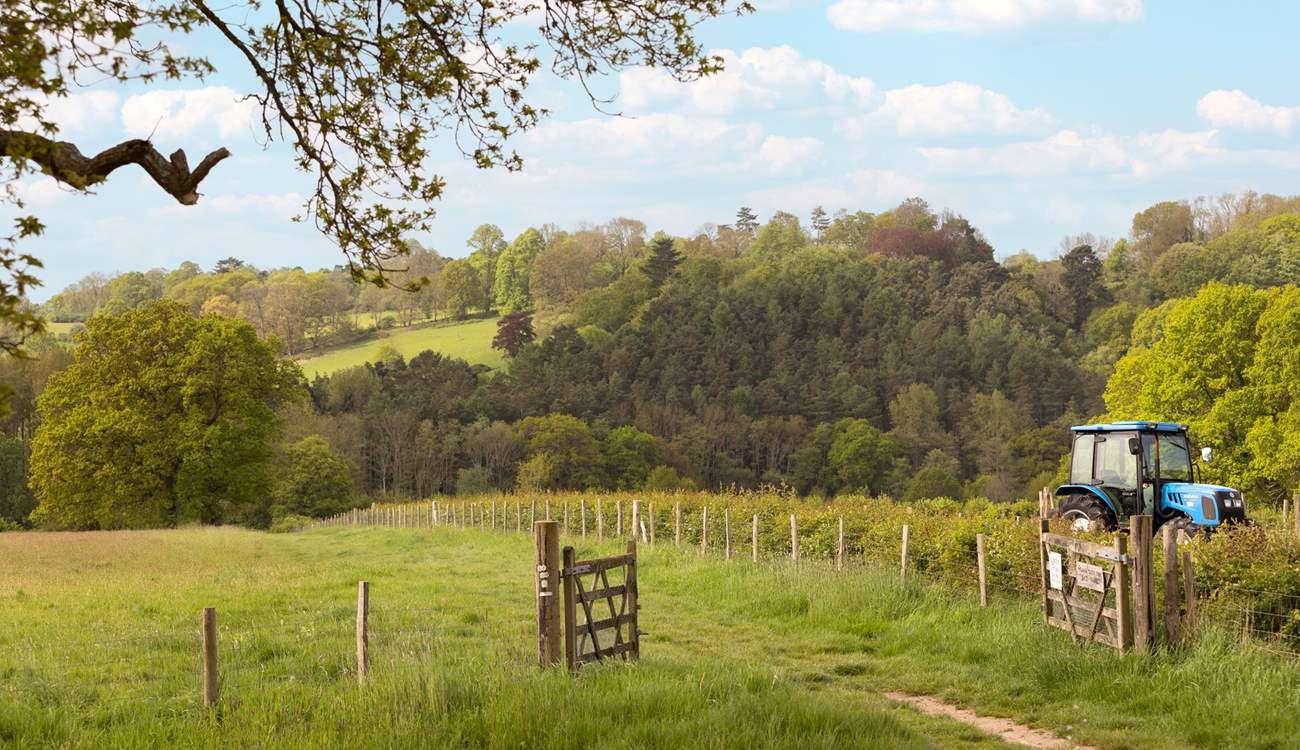 Direct access from the doorstep to some lovely walks around the farm including the High Weald Landscape Trail.