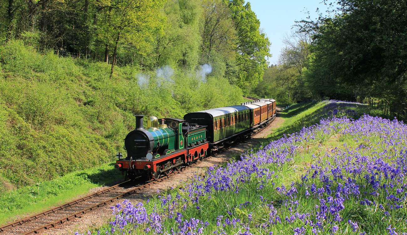 Visit The Bluebell Railway. A great day out for the whole family.