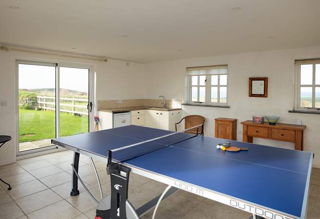 Table tennis anyone?