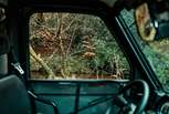 With enchanting scenery along the way!