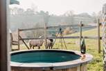 Soak away your worries in the heavenly wood-fired hot tub and say hello to your friendly fluffy neighbours. 