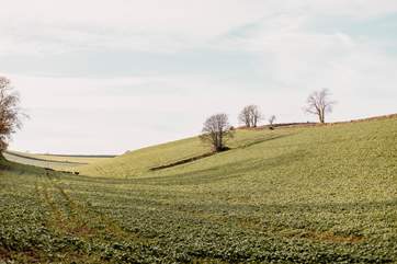 Locations don't get more idyllic than this.