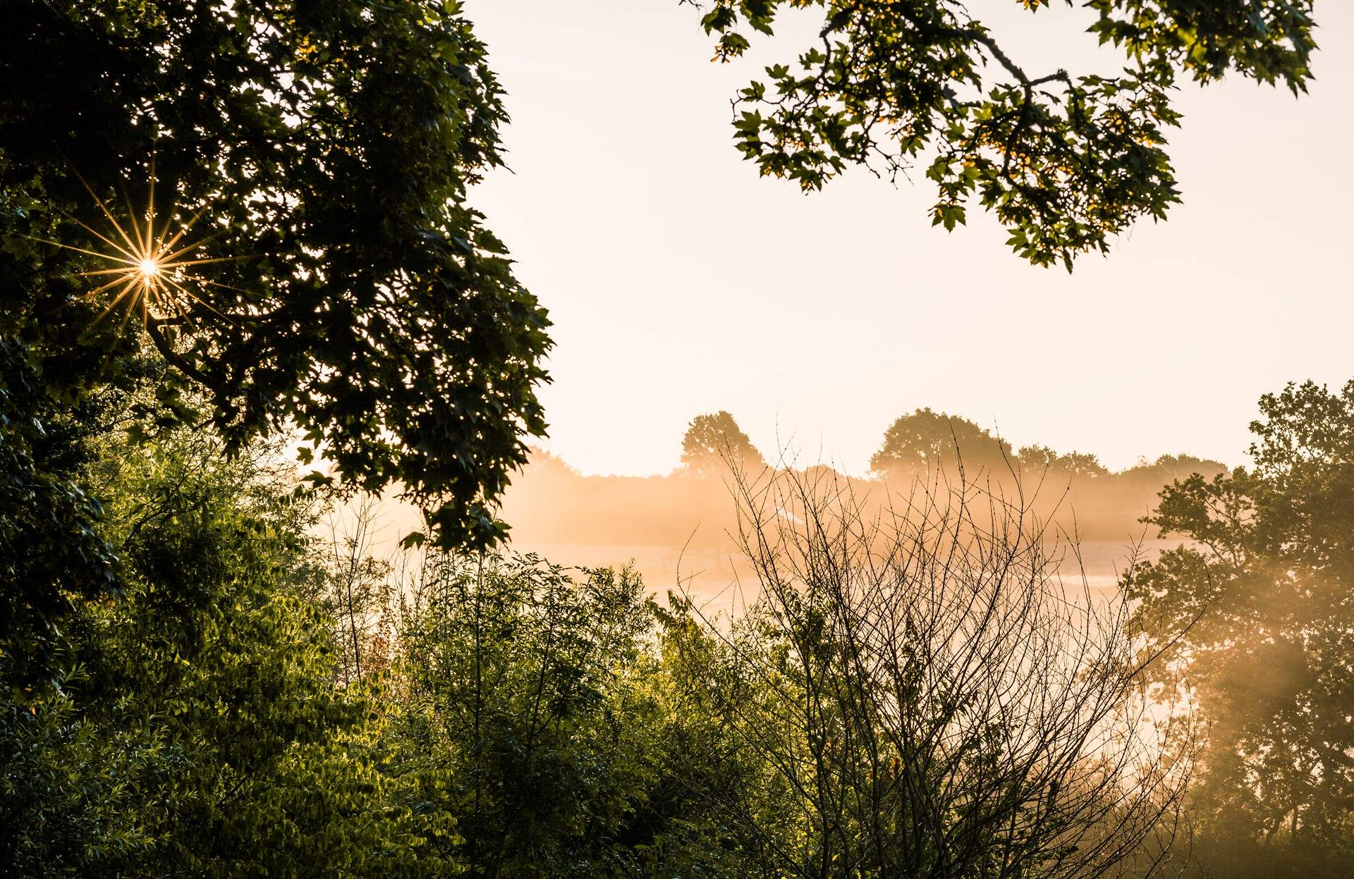 Long summer afternoons are a dream at Jessie.