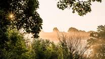 Long summer afternoons are a dream at Jessie.