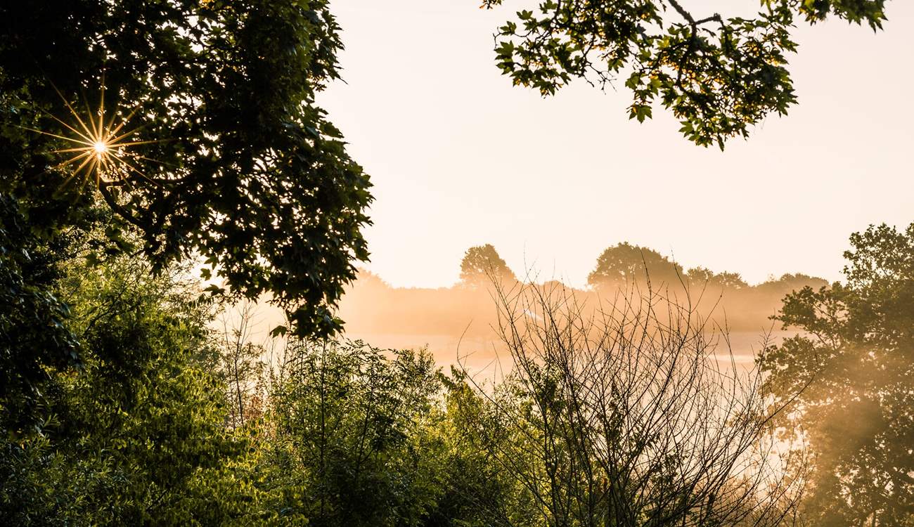 Long summer afternoons are a dream at Jessie.