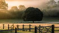 From dawn till dusk, the location is absolutely idyllic. 