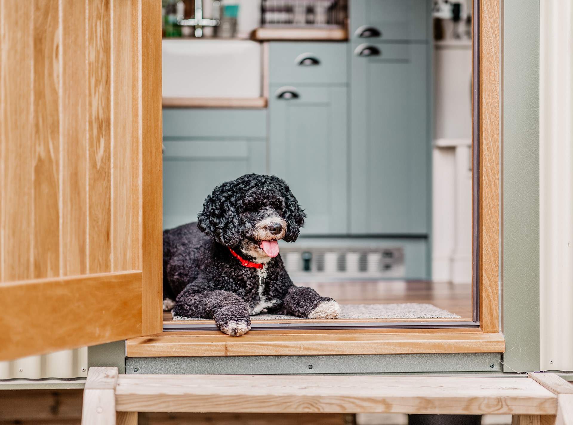 Your beloved pooch is more than welcome to join you!