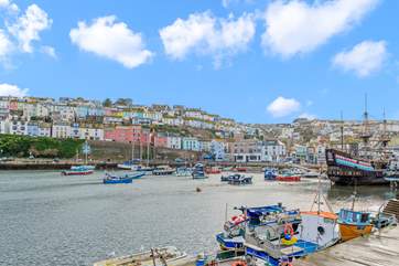 The vibrant harbour.