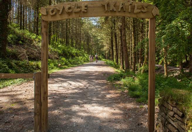 For more cycling and walking trails head over to Cardinham Woods.