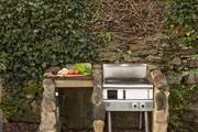 Rustle up a feast on the barbecue.