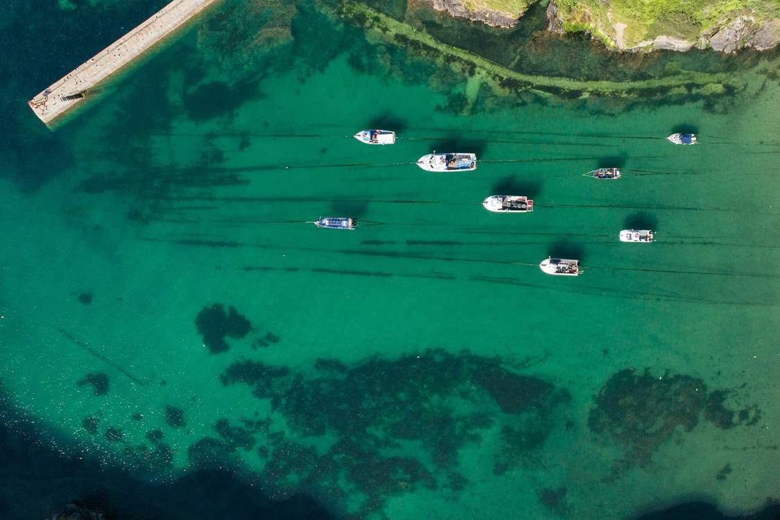 Port Isaac makes for a fantastic day out.