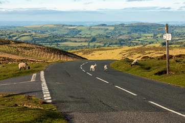 Be sure to explore the wonders of Dartmoor National Park during your stay.