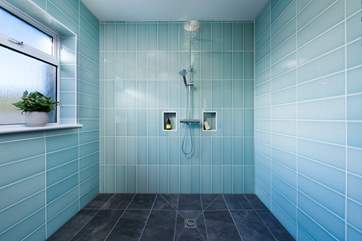 What a luxury this room is, plenty of room for one or two under this shower.