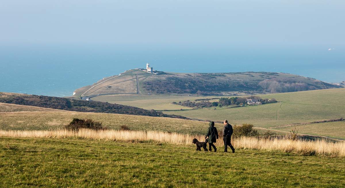 So many beautiful walks on the South Downs, your dog will love them too!