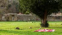 The paddock next to the drive is available for a quick dog walk, barbecue or picnic.