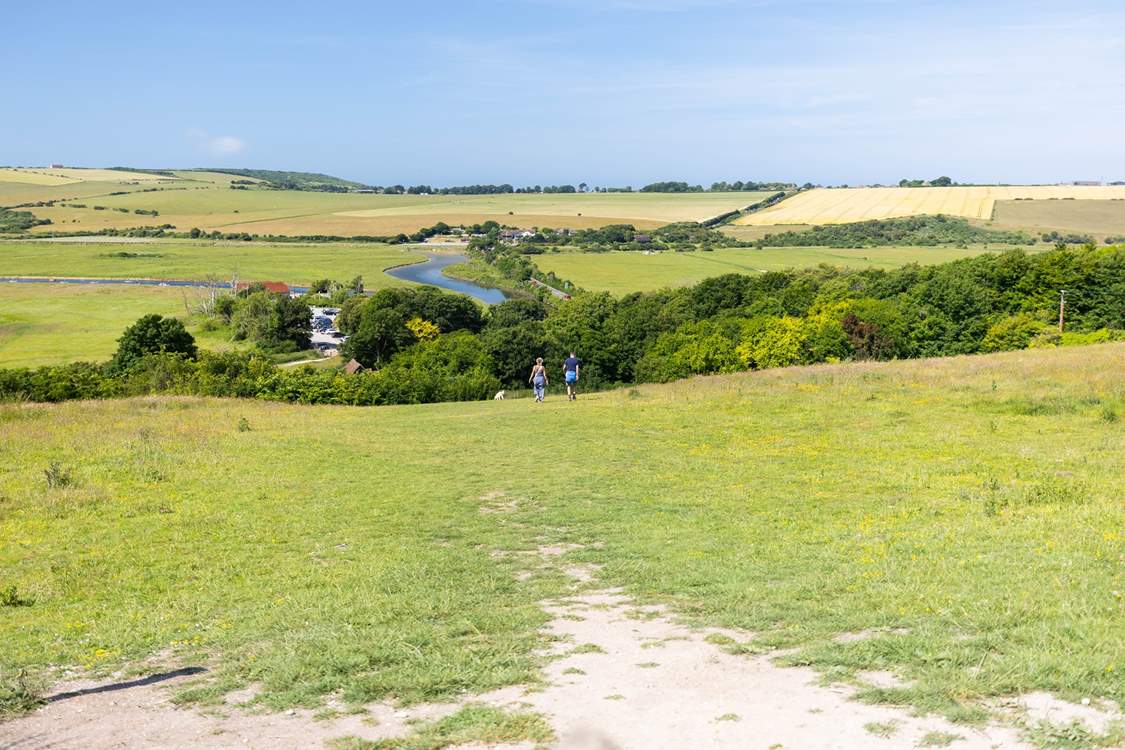 So many beautiful walks to explore!