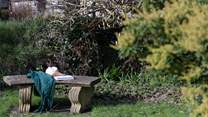 There are little reading nooks you can enjoy!
