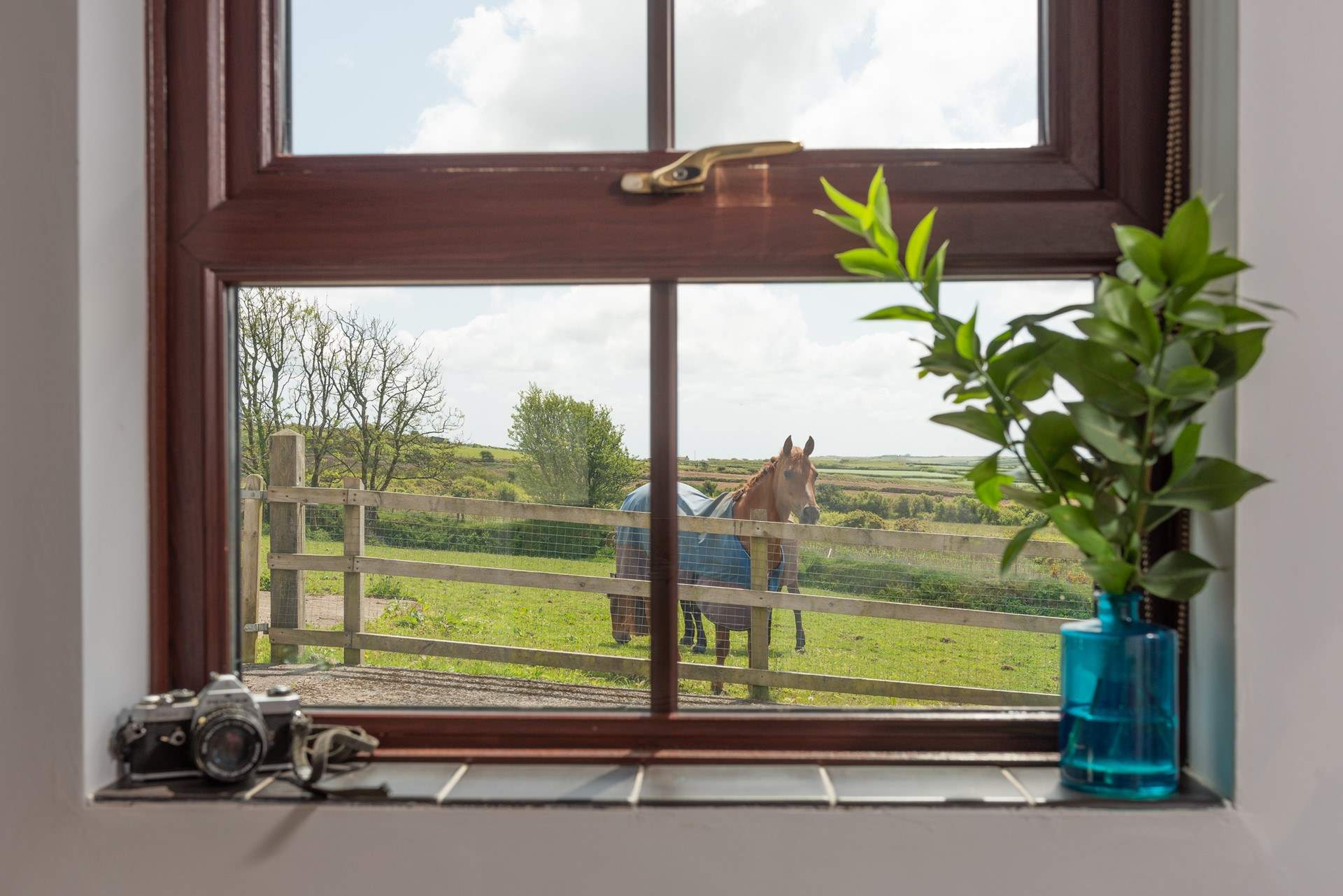 Children will love to spot the neighbouring horses.