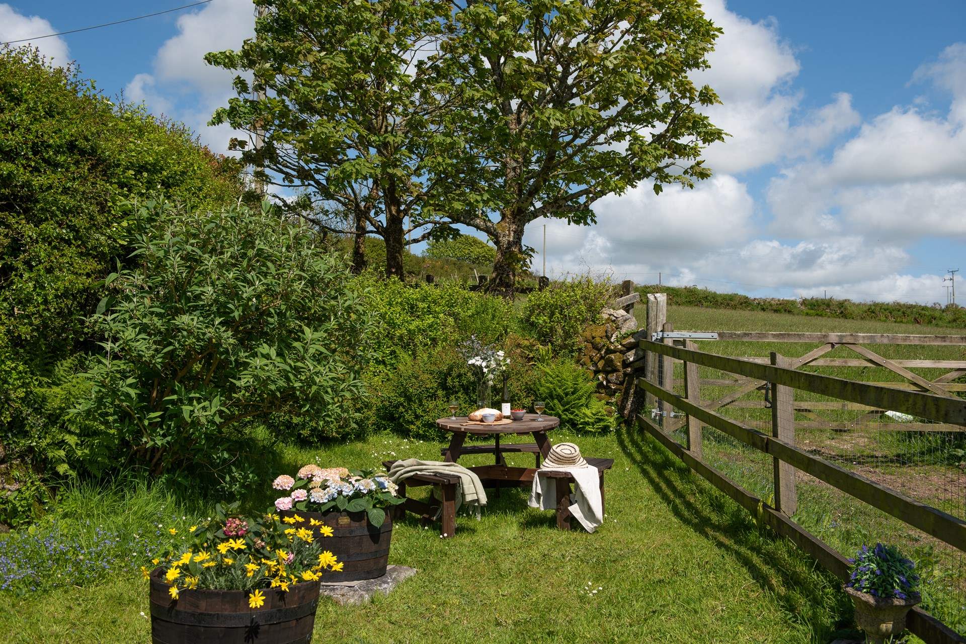 Enjoy the evergreen views.