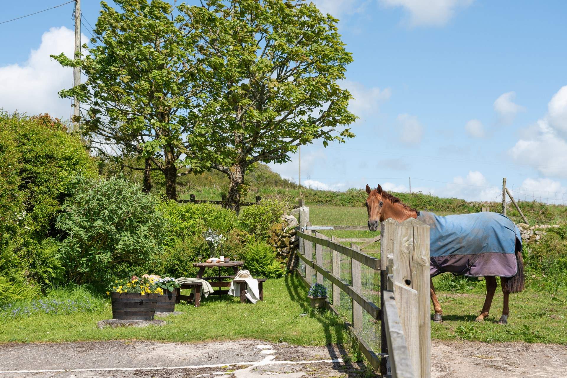 The garden has a pretty place to sit. The friendly owners live next door and you may see them from time to time.